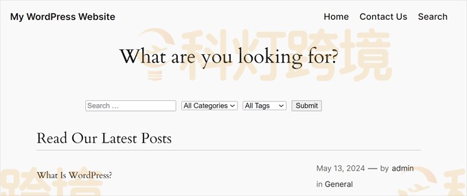 显示带有 search、category 和 tag 字段的筛选选项